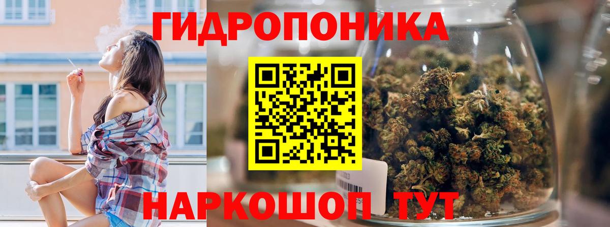 Марихуана тримм  Вход с VPN  Бошки марихуана конопля  Минеральные Воды 